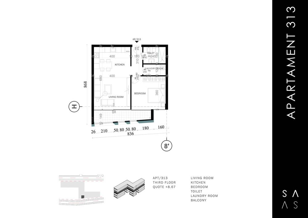 Apartment 313