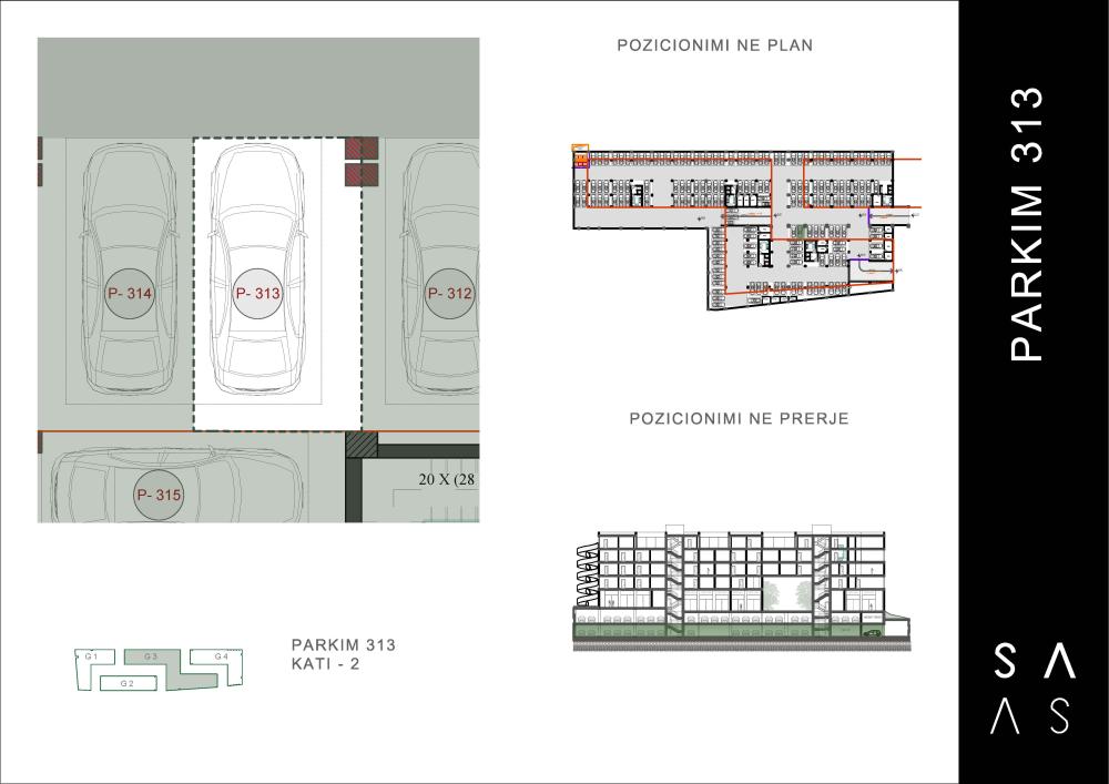 Parking 313